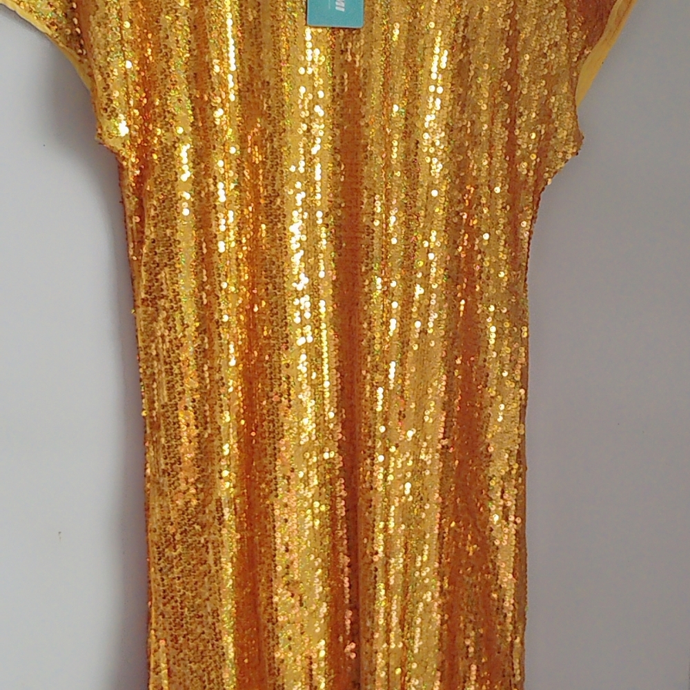 Sparkling Gold Sequin Dress